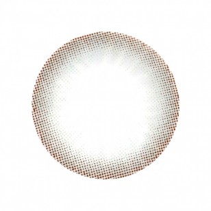 Someday Gray(月拋)